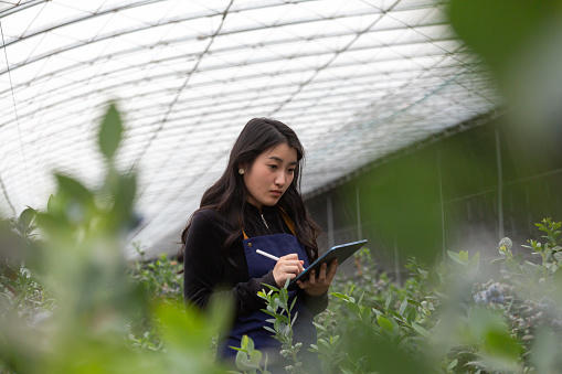 Woman in greenhouse studying agriculture 
