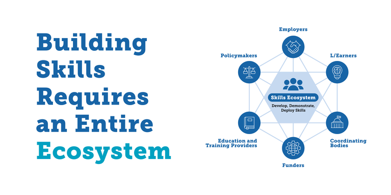 Building skills requires an entire ecosystem